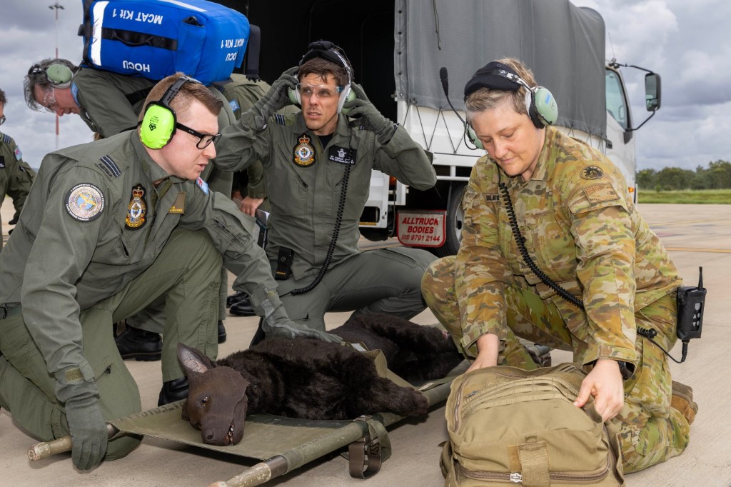 defence dogs-Critical Care Aeromedical Evacuation