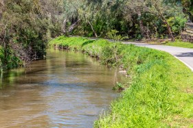 Melbourne’s Merri Creek brought back from pollution, neglect and weeds